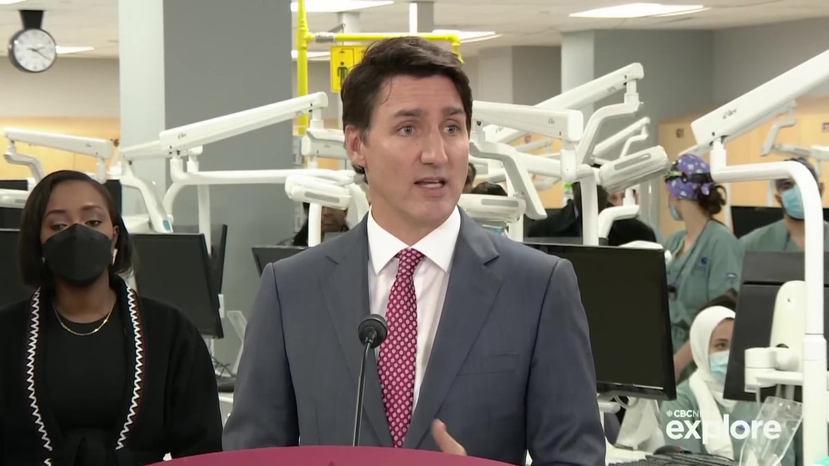 Lauren Bird Keeps It Noir for the Foreign Interference Testimony