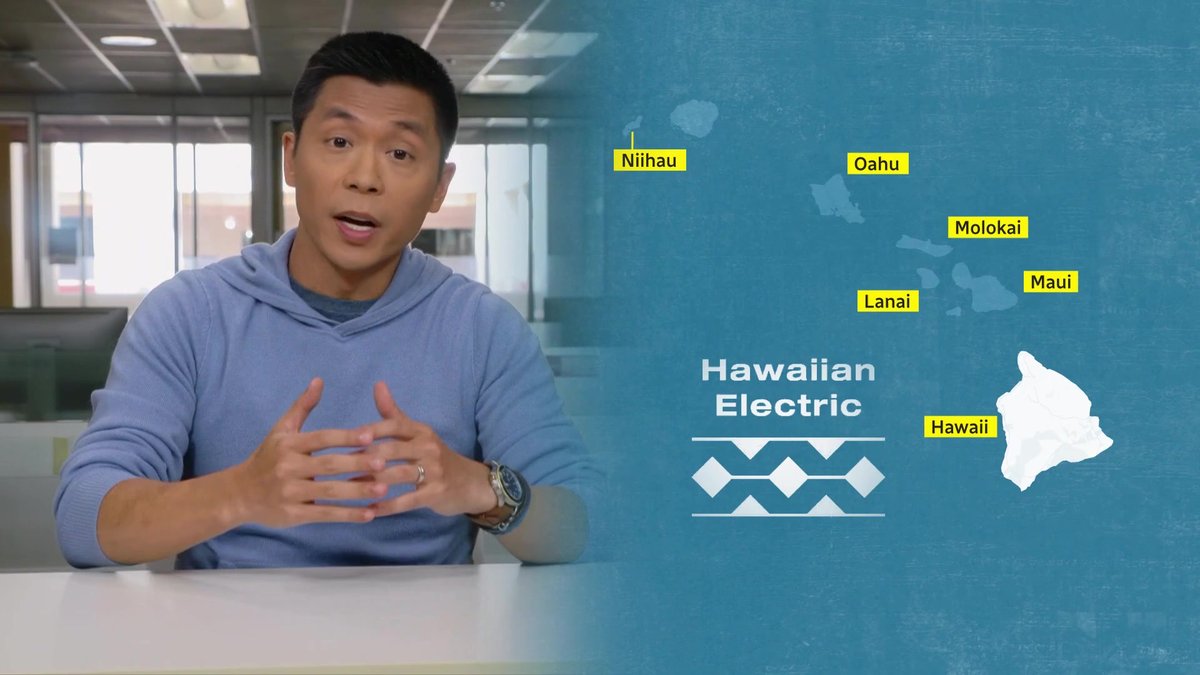 Andrew Chang’s Light Blue Hoodie and the Hawaiian Electric Bankruptcy Question